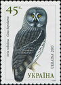 Great Grey Owl (Strix nebulosa)